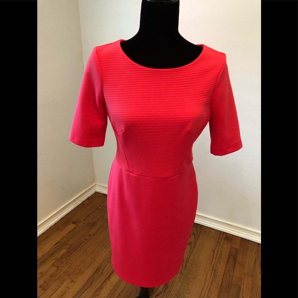 Beautiful salmon colored professional sheath dress